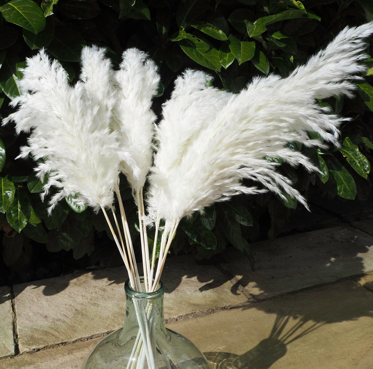 UK Pampas Grass White Pampas Grass Bouquet Dried Flowers Etsy UK