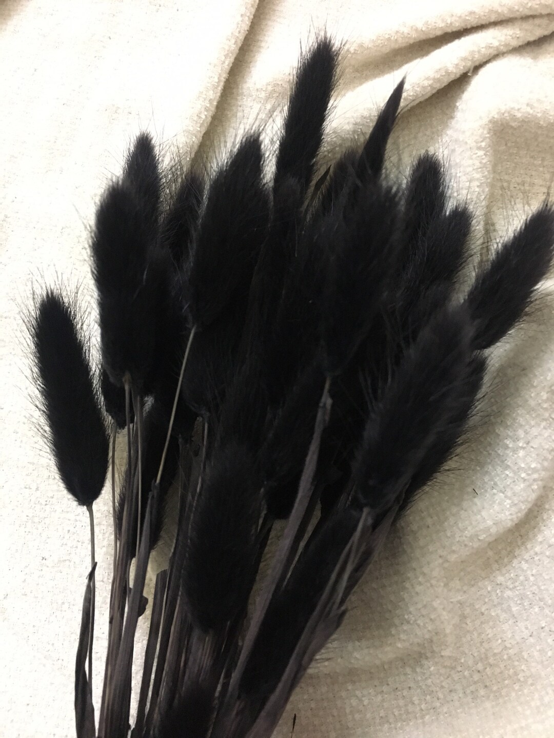 50 Black Bunny Tails Uk Bunny Tails Bunny Tail Bunch Etsy UK