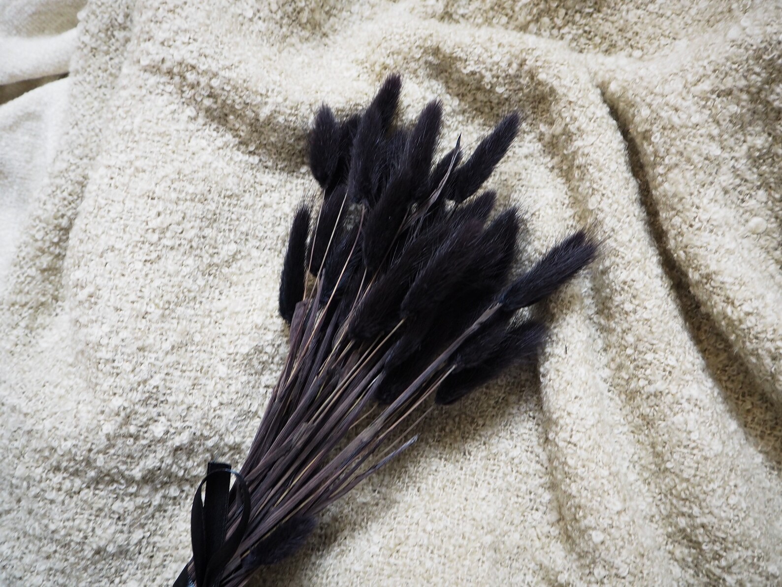 50 Black Bunny Tails Uk Bunny Tails Bunny Tail Bunch Etsy UK