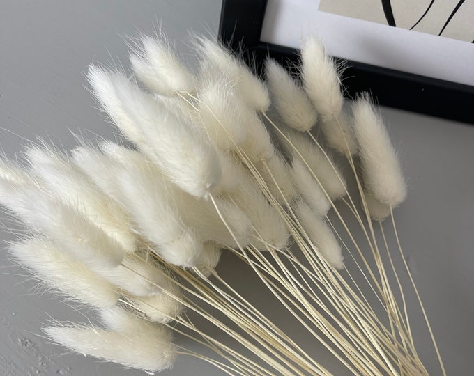 50 White Bunny Tails Uk Bunny Tails Bunny Tail Bunch Etsy