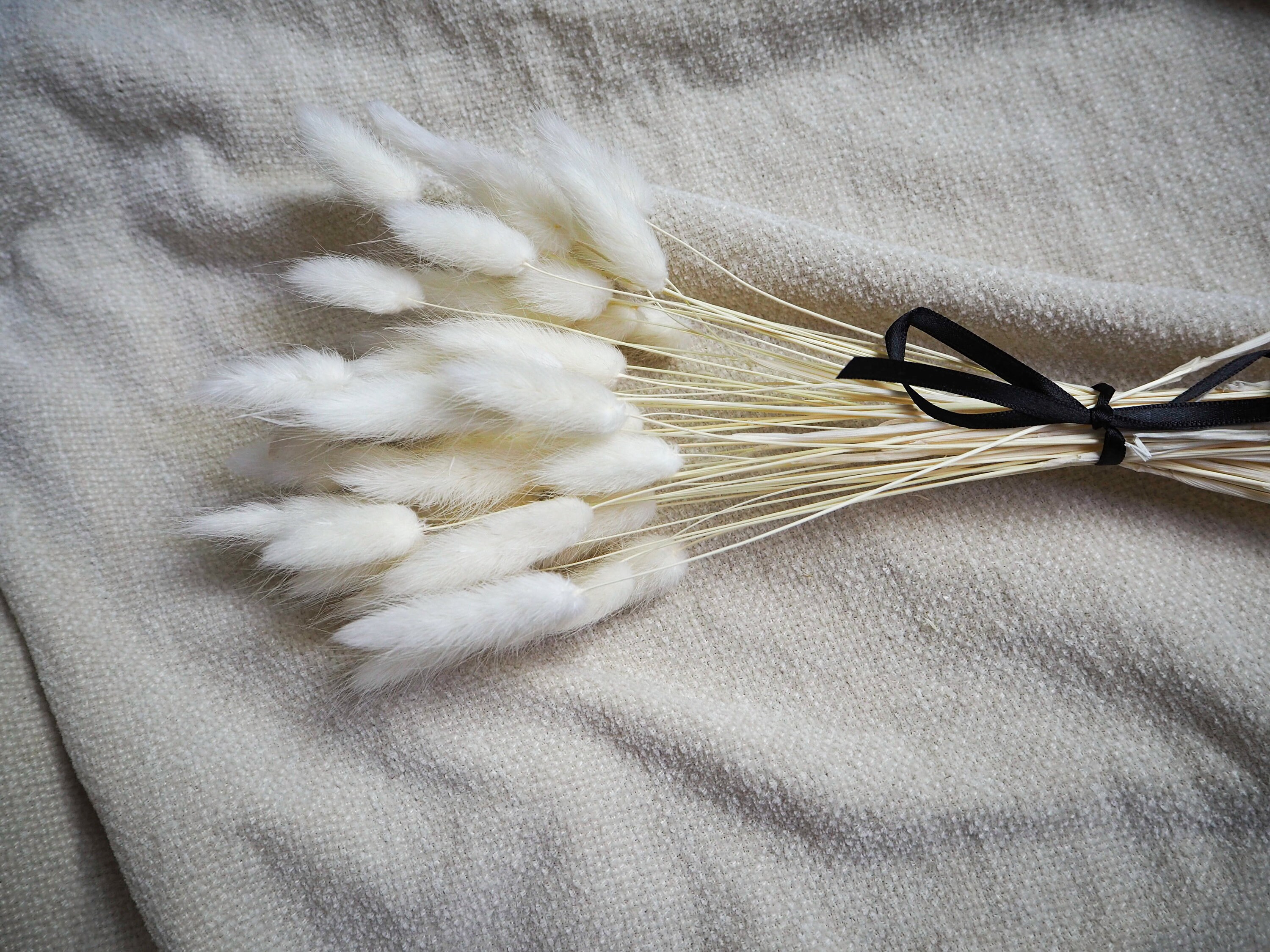 50 White Bunny Tails Uk Bunny Tails Bunny Tail Bunch Etsy UK