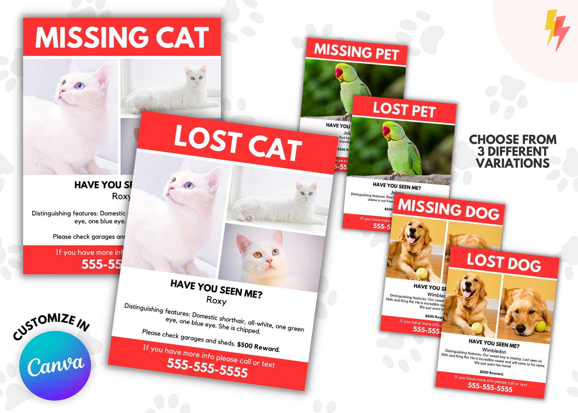 Lost Pet Example Lost Pet Poster Download (8.5x11) - Etsy