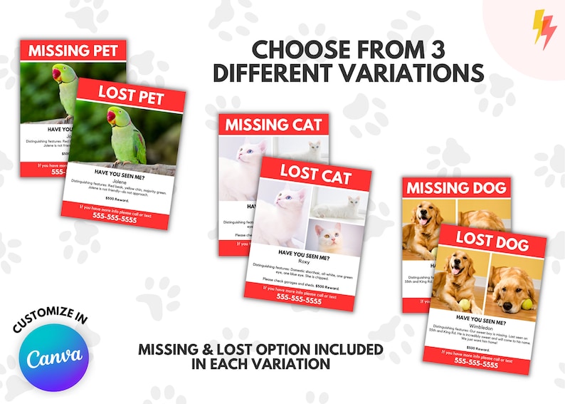 Lost Pet Example Lost Pet Poster Download (8.5x11) - Etsy