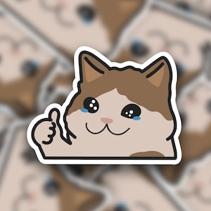 Crying Cat Sticker | Laptop Sticker | Water Bottle Stickers | Journal Sticker | Vinyl Sticker | Funny Sticker | Meme Sticker