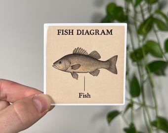Pegatina con diagrama de peces - Calcomanía divertida para portátil o botella de agua