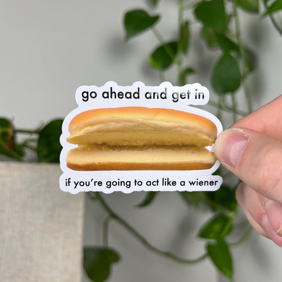 Funny Vinyl Sticker - 'Get In If You Act Like a Wiener' Meme