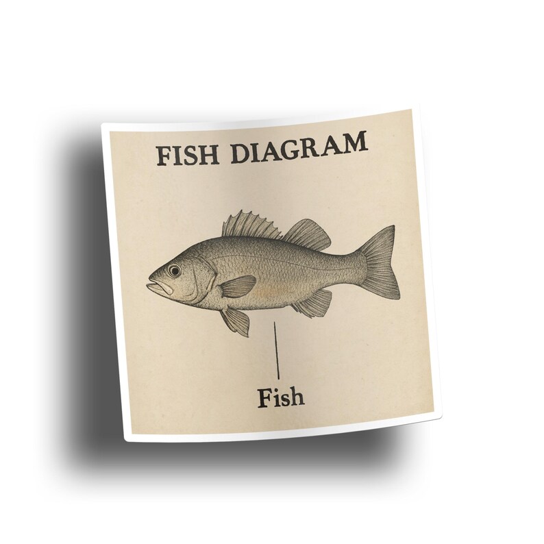 Fish Diagram Sticker - Funny Meme Decal for Laptop or Water Bottle image 5