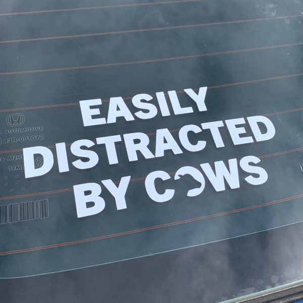 Easily distracted by cows stickers etsy