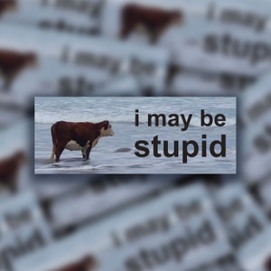 I May Be Stupid | Bumper Sticker | Meme Sticker | Water Resistant Vinyl Sticker