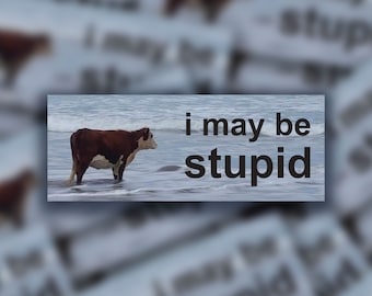 I May Be Stupid | Bumper Sticker | Meme Sticker | Water Resistant Vinyl Sticker