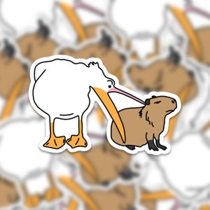 Capybara Sticker | Pelican Bites Capybara Sticker | Meme Stickers | Laptop Stickers | Water Bottle Sticker | Glossy Sticker | Funny Sticker