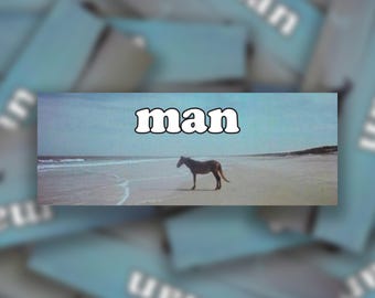 May include: A brown horse stands on a sandy beach with blue sky and white clouds in the background. The word "man" is written in white letters on a blue background.