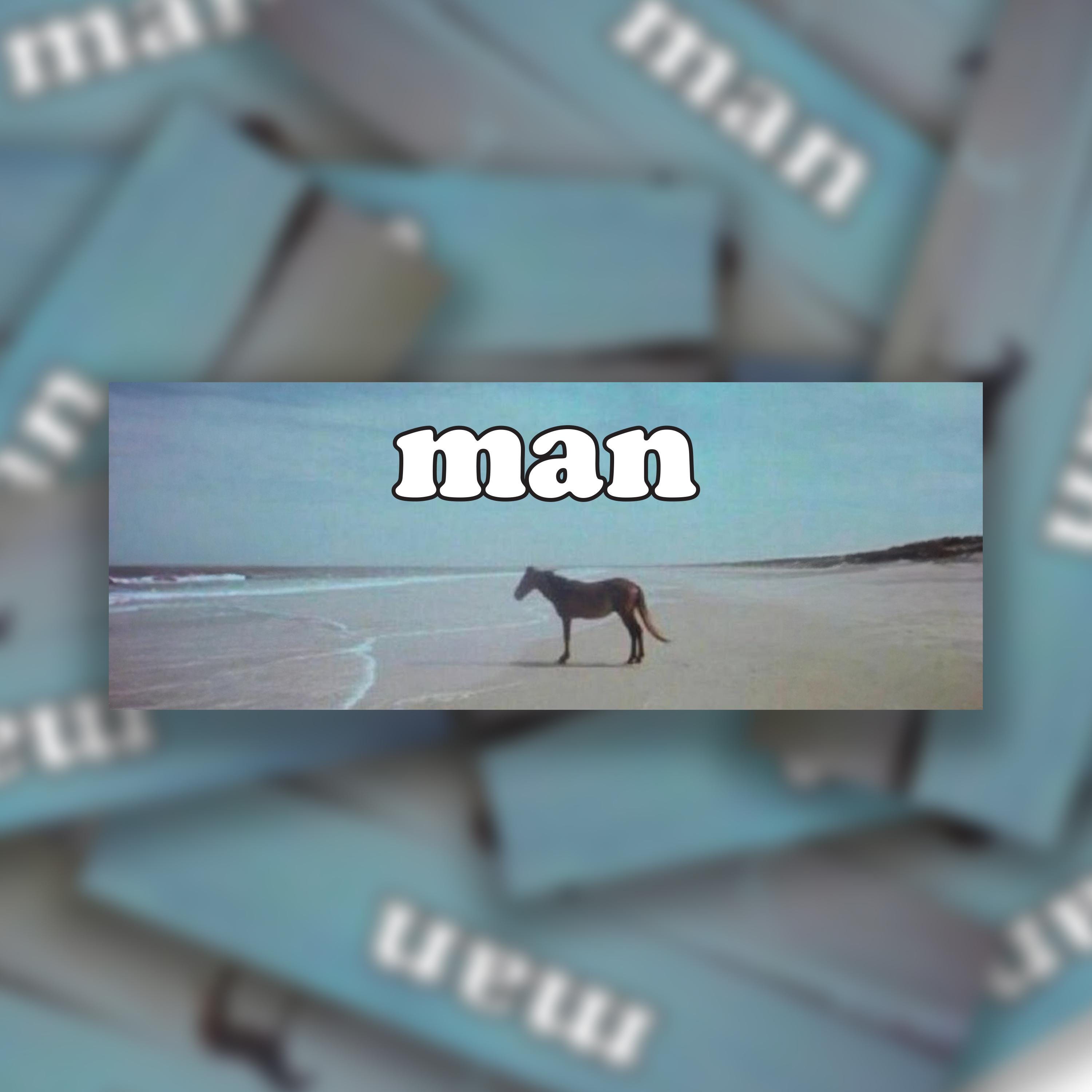 Man Horse Meme Bumper Sticker: Water Resistant Vinyl