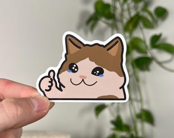 Crying Cat Vinyl Sticker - Laptop and Water Bottle Decal