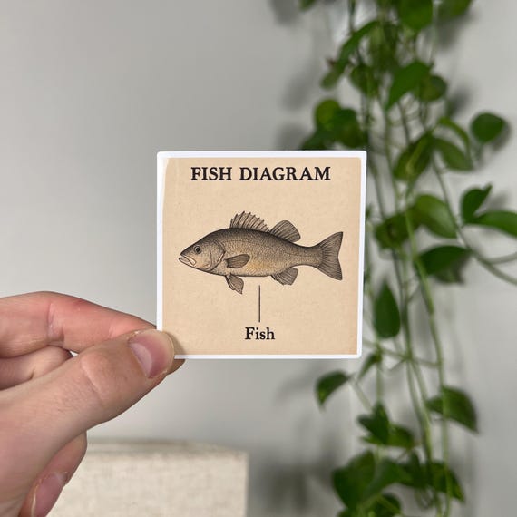 Fish Diagram Sticker - Funny Meme Decal for Laptop or Water Bottle