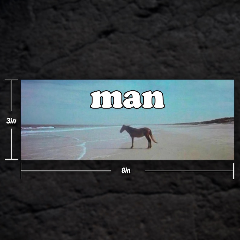 Puede incluir: Un caballo marr&oacute;n se encuentra solo en una playa de arena con cielo azul y nubes blancas de fondo. La palabra "man" est&aacute; escrita en letras blancas sobre un fondo azul.