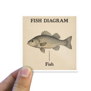 May include: A simple line drawing of a fish with the text "FISH DIAGRAM" and "Fish" below the image.