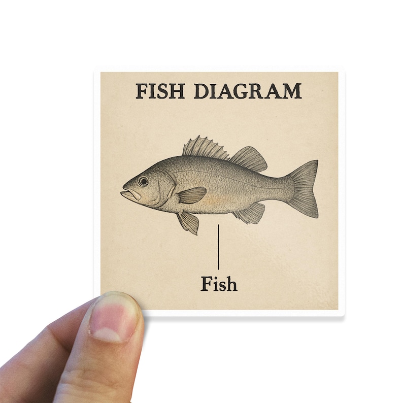May include: A simple line drawing of a fish with the text "FISH DIAGRAM" and "Fish" below the image.
