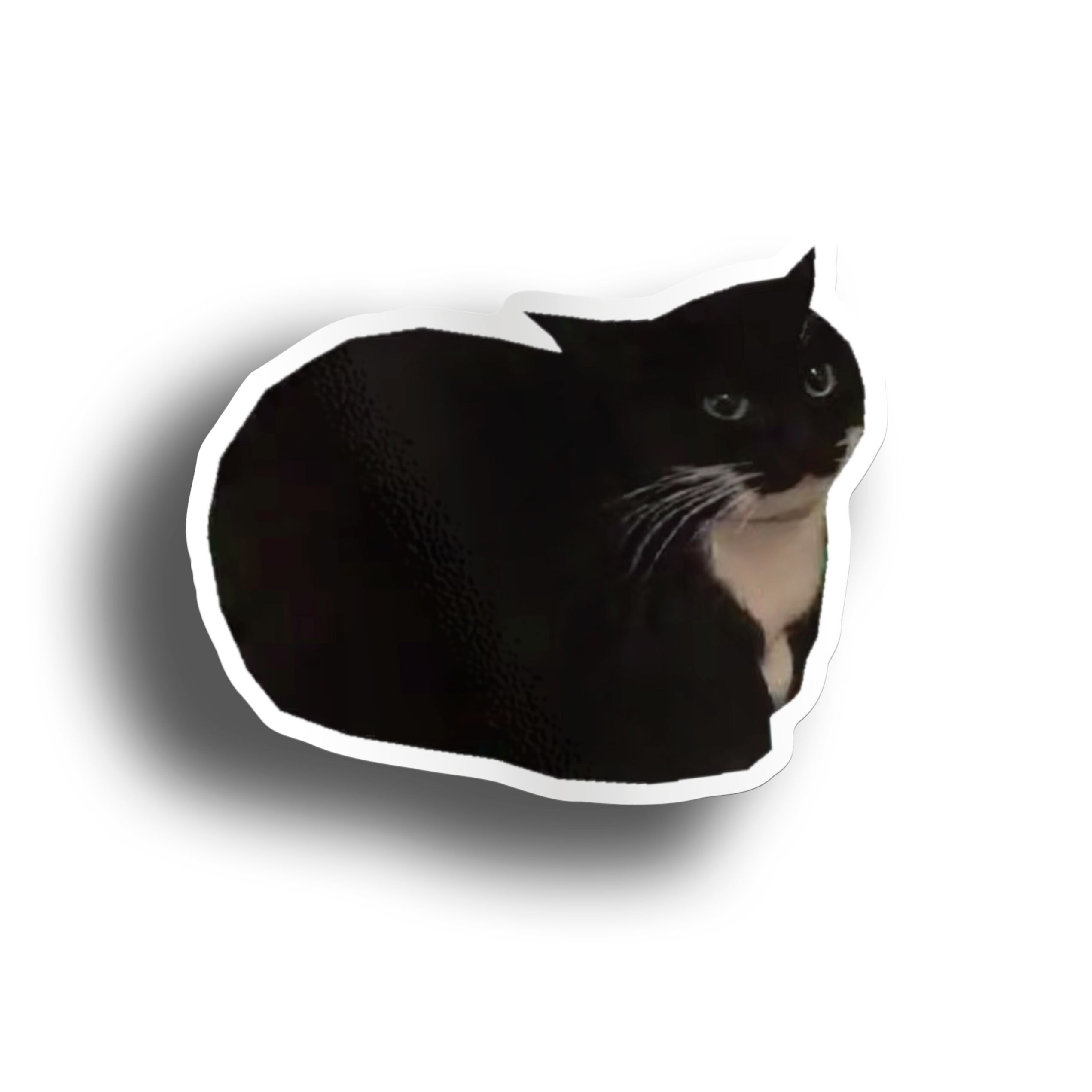 Maxwell The Cat Vinyl Sticker | Cat Meme Sticker | Laptop