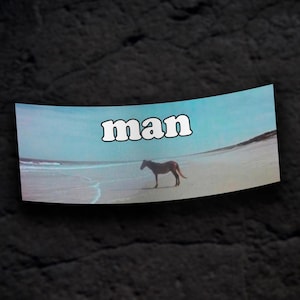 Puede incluir: Una pegatina con un cielo azul, arena blanca y un caballo marr&oacute;n caminando por la playa. La palabra "man" est&aacute; impresa en letras blancas en la pegatina.