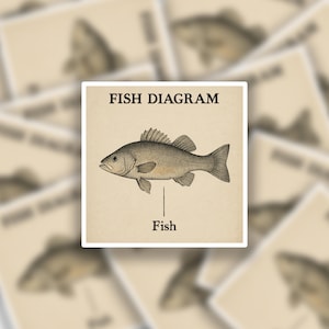 Fish Diagram Sticker | Fish Sticker | Meme Stickers | Laptop Stickers | Water Bottle Sticker | Funny Sticker