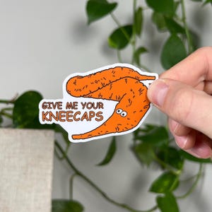 Give Me Your Kneecaps Sticker | Laptop Sticker | Water Bottle Stickers | Journal Sticker | Vinyl Sticker | Funny Sticker | Meme Sticker