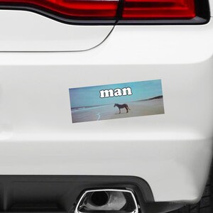 Puede incluir: Un coche blanco con una pegatina en el parachoques que dice "man" en letras blancas sobre un fondo azul y blanco. La pegatina muestra un caballo marr&oacute;n de pie en una playa.