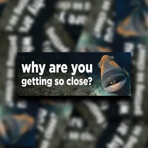 Why Are You Getting So Close? | Bumper Sticker | Meme Sticker | Water Resistant Vinyl Sticker