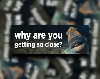 Why Are You Getting So Close? Sticker - Meme Bumper, Water Resistant