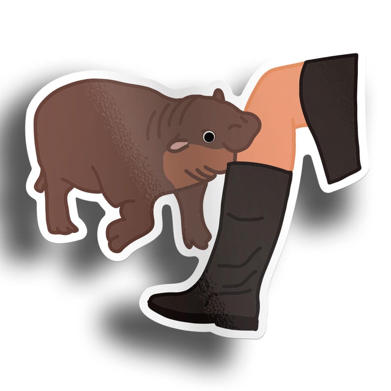 May include: A brown and tan baby hippopotamus with a black eye is sniffing a woman's leg. The woman is wearing black boots and a black skirt.