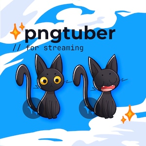 PNGtuber 黒猫 // twitch vtuber、youtube ストリーミング、毛皮の友達コレクション
