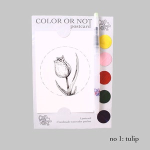 Color or Not Postkarte, Kolorierbare Postkarte mit handgemaltem Aquarell