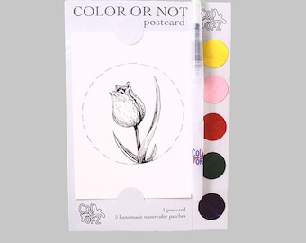 Puede incluir: Un dibujo en blanco y negro de una tulipa en una postal blanca. La postal es parte de un conjunto que incluye cinco parches de pintura de acuarela y un pincel. El texto en la postal dice "COLOR OR NOT postcard" y "no 1: tulip".