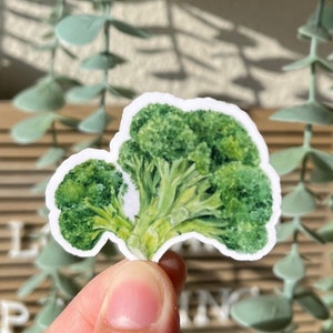 Broccoli Vegetable Printed Watercolor Painting Vinyl Sticker, Waterproof  for Water Bottles, Scrapbook, Journals, Laptop, Cards