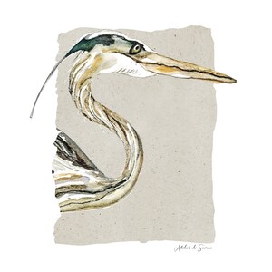 Le regard du héron / Dessin Impression sur Papier Aquarelle