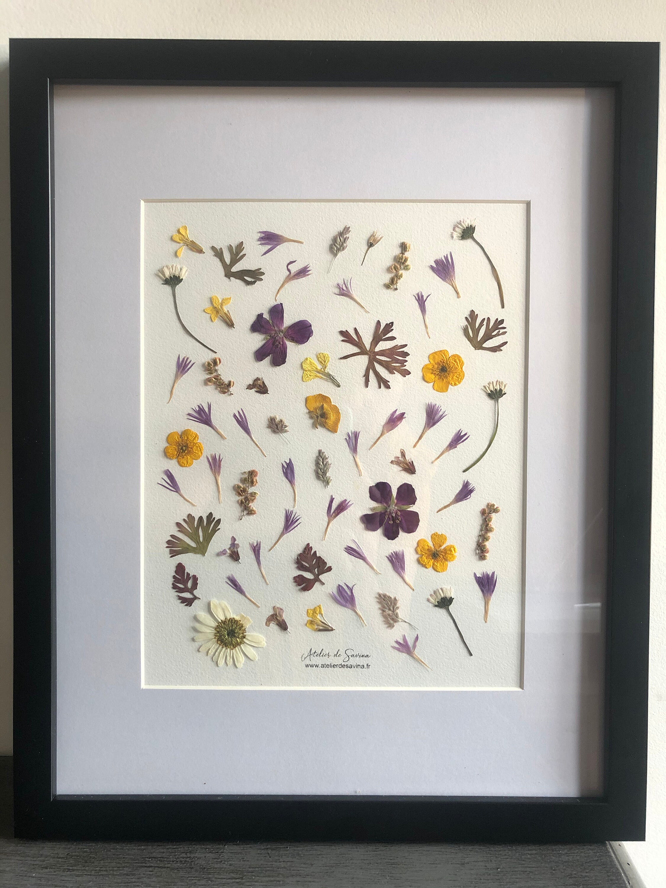 Herbier de Véritables Fleurs Séchées