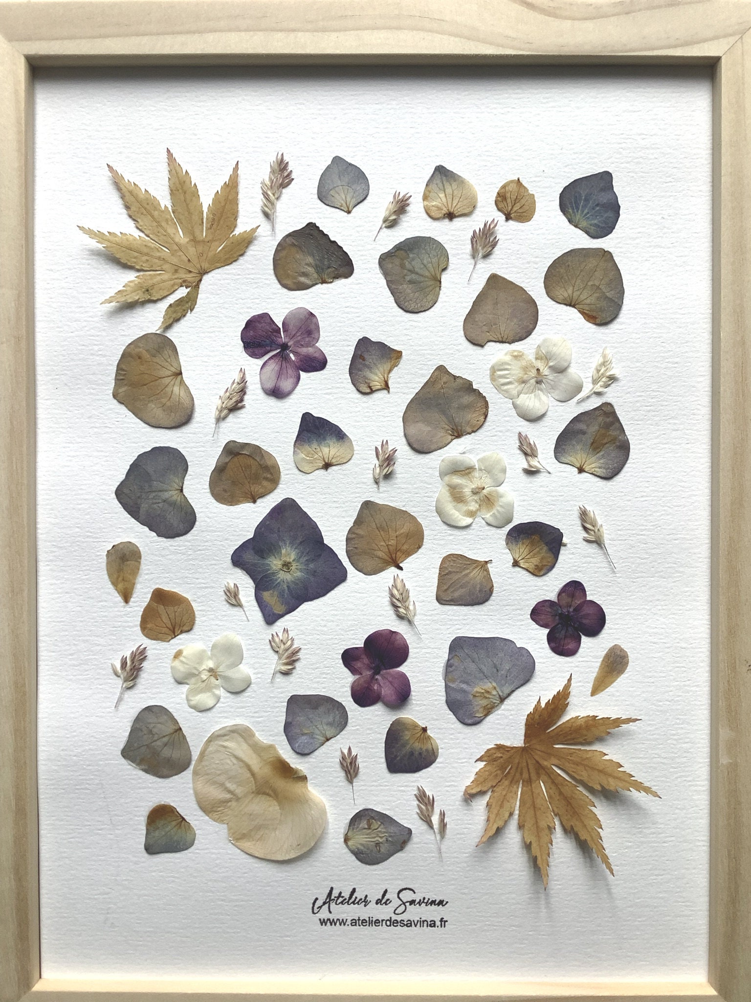 Herbier de Véritables Fleurs Séchées