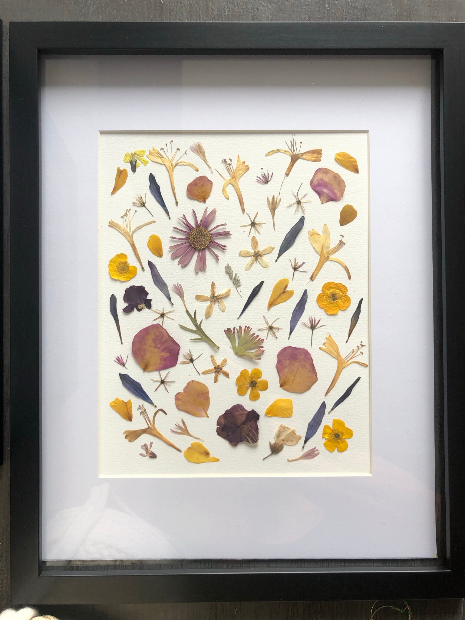 Herbier de Véritables Fleurs Séchées