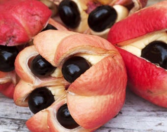 Jamaican ackee, hydrate freeze dried & use anytime and make ackee and Saltfish or eat as a snack, use as toppings for vegan pizz or in pasta