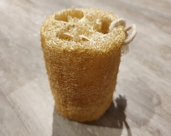 3 Exfoliating Loofah sponge