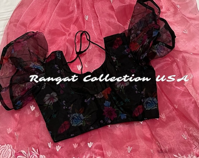 Beautiful Combination Embroidery Border Pure Organza Saree with Blouse