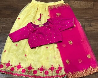 Lehegna Set - Organza silk Lehegna with Croptop