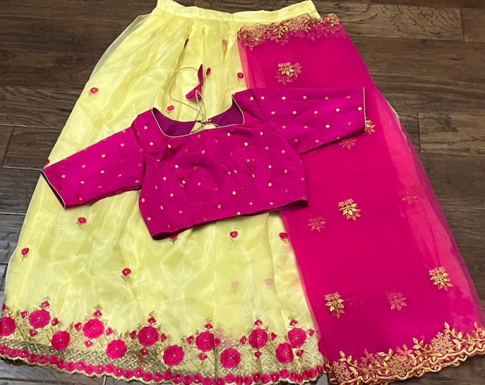 Lehegna Set - Organza silk Lehegna with Croptop