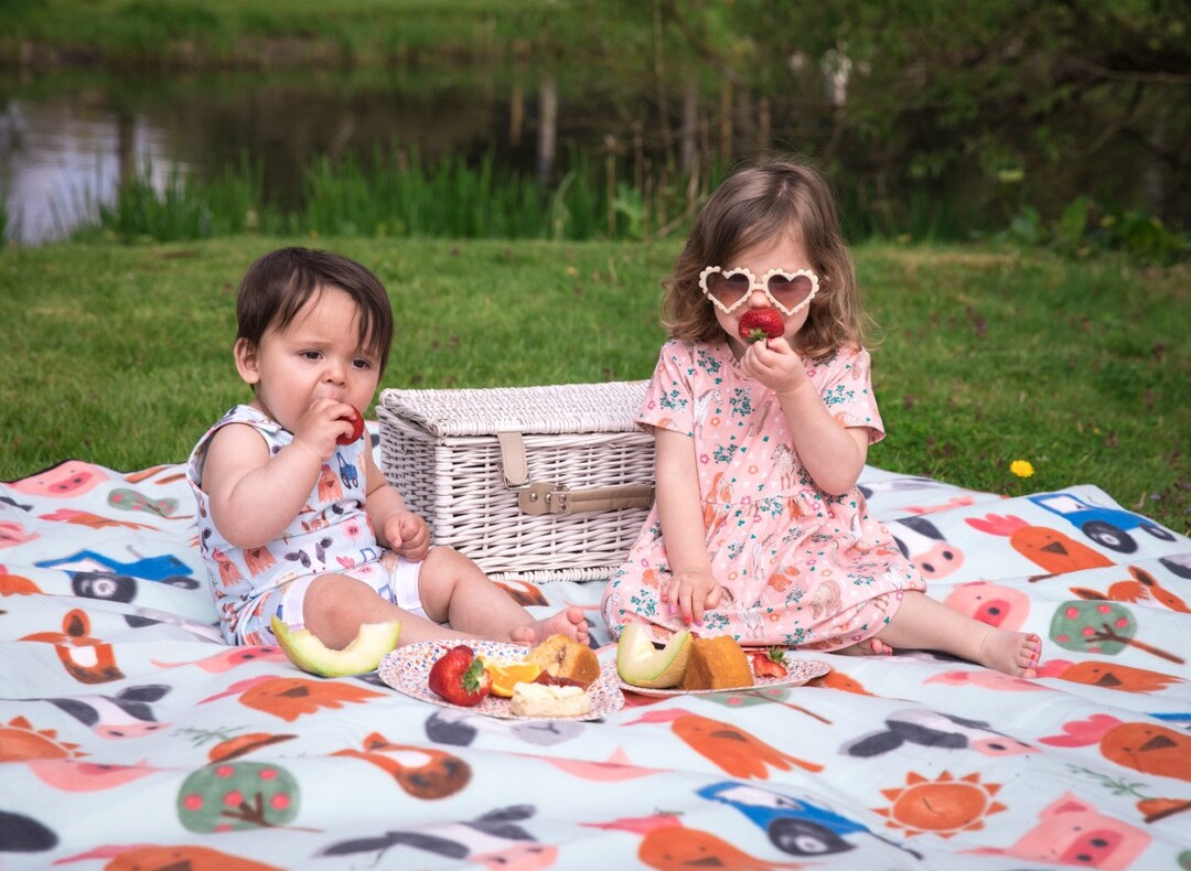 Limited Edition Extra Large Printed Picnic Blanket Etsy