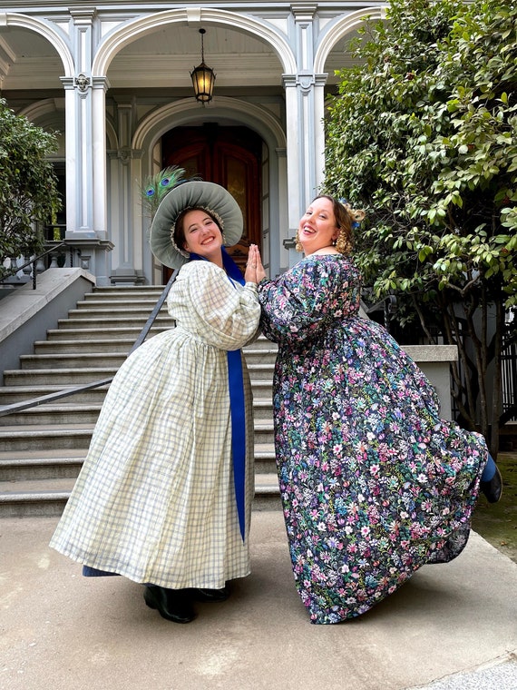 plus size victorian dress