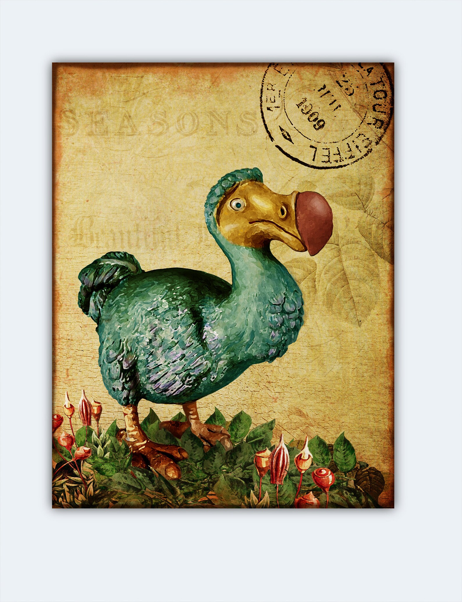retro dodo retro dodo