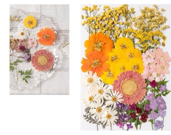Jumbo Pack Dried Pressed Flowers and Leaves for Resin,Ready to Ship,Resin Supply,Wedding Card Making,Floral Arrangement,Frame Decoration