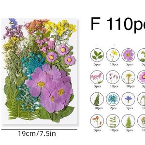 Jumbo Pack Dried Pressed Flowers and Leaves for Resin,Ready to Ship,Resin Supply,Wedding Card Making,Floral Arrangement,Frame Decorations F-110pcs