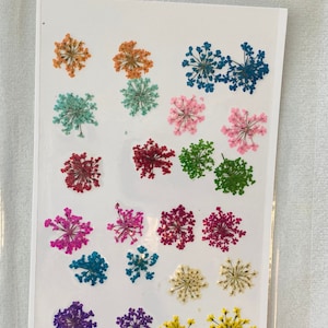 Dried Queen Anne's Lace Flower for resin, Jewelry DIY, Resin Supplies,Card Making Crafts,Pastel Room Color,Wedding,Resin Cast,Ready to ship 24pcs-mixed color