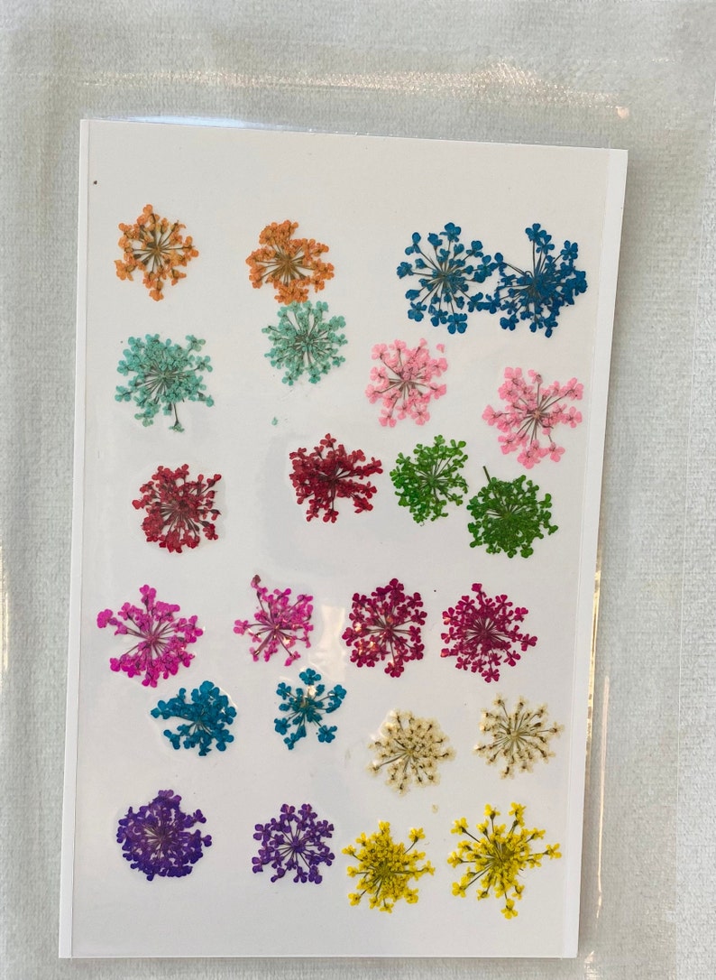 Dried Queen Anne's Lace Flower for resin, Jewelry DIY, Resin Supplies,Card Making Crafts,Pastel Room Color,Wedding,Resin Cast,Ready to ship 24pcs-mixed color